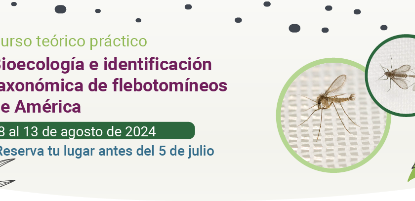 Cursos PECET